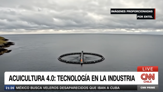 Chile apuesta por la tecnología y la inteligencia artificial en la carrera por ser el principal productor mundial de salmón